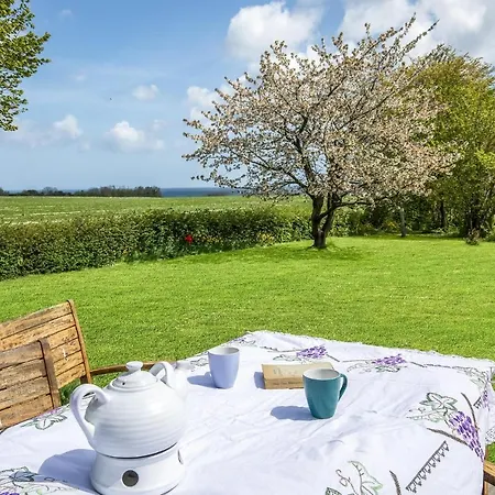 Cozy In With Kitchen Сванеке