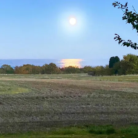 Cozy In With Kitchen Дом отдыха Сванеке