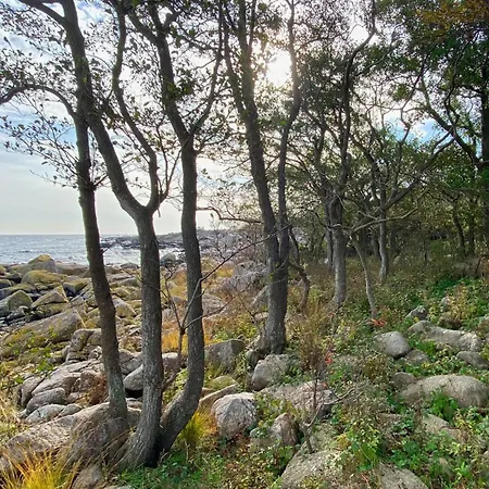 Дом отдыха Cozy In With Kitchen *